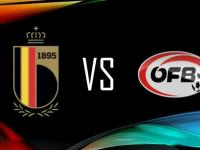 开云APP-奥地利队击败劲旅，挺进半决赛