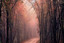 开云体育在线-澳网翻盘美网，辛纳刷新纪录