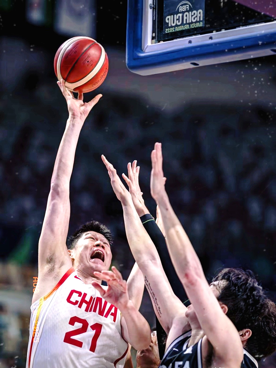 热火翻盘江苏队，胡金秋统治全场的简单介绍