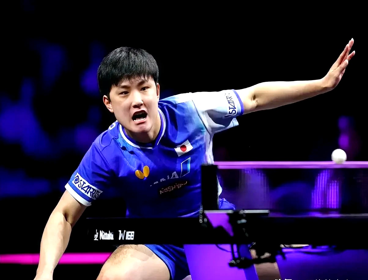 关于中国队横扫德国队，张本智和状态火热的信息